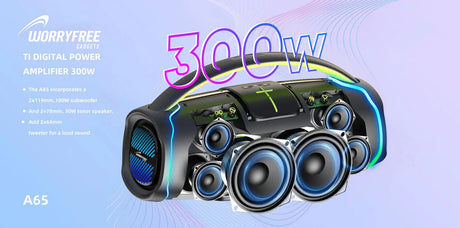 Worryfree 300W Portable Bluetooth Speaker with Handle, one Microphone