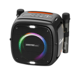 80W Portable Bluetooth Speaker with Two Microphones