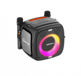 80W Portable Bluetooth Speaker with Two Microphones