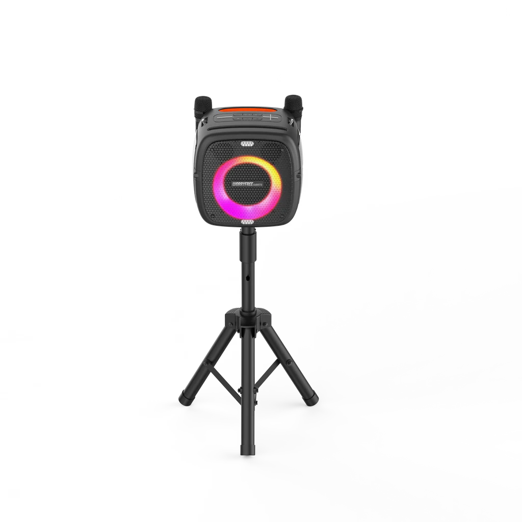 80W Portable Bluetooth Speaker with Two Microphones