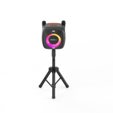 80W Portable Bluetooth Speaker with Two Microphones