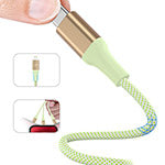 EcoBlvd LifeVine Mfi USB-C to Lightning Cable (L=6 FT) - Green